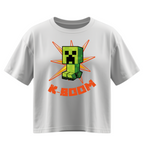 Minecraft creeper